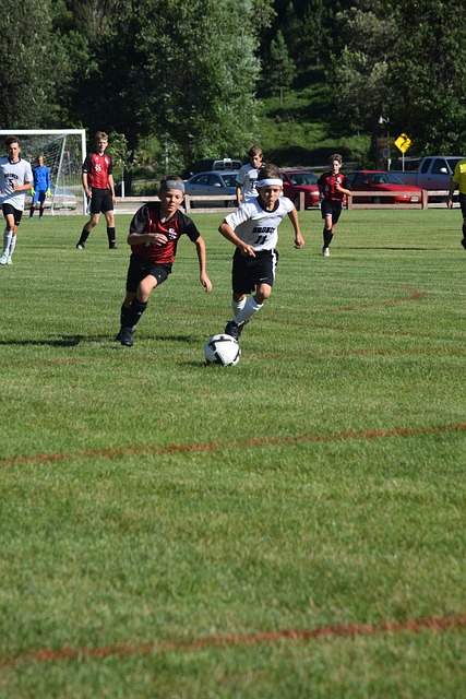 力的表现 力的表现