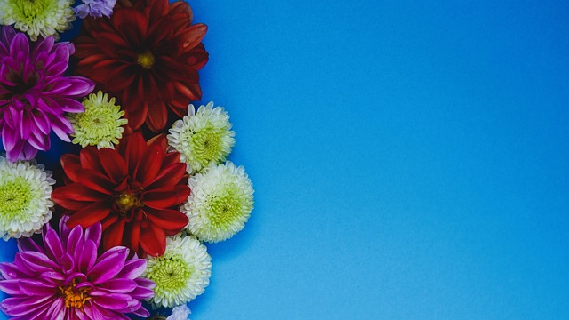 人向更高目 人向更高目