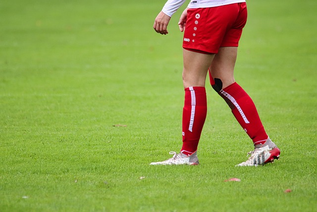 他的经历印 他的经历印