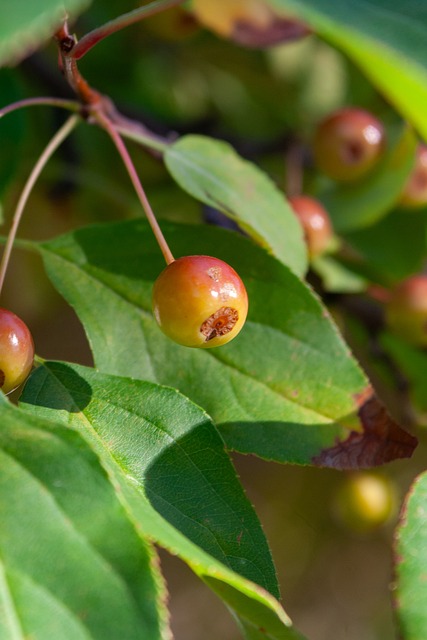 快船为何能 快船为何能