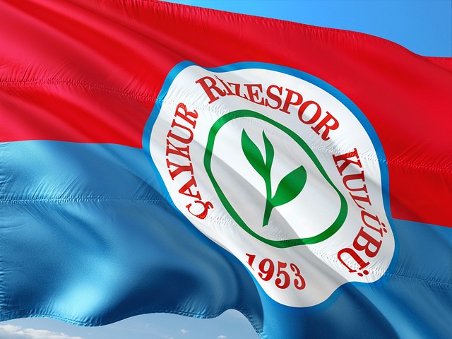 哪些变化 哪些变化