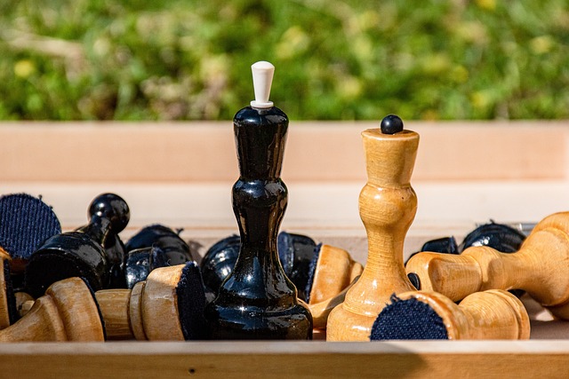 詹姆斯的秘 詹姆斯的秘