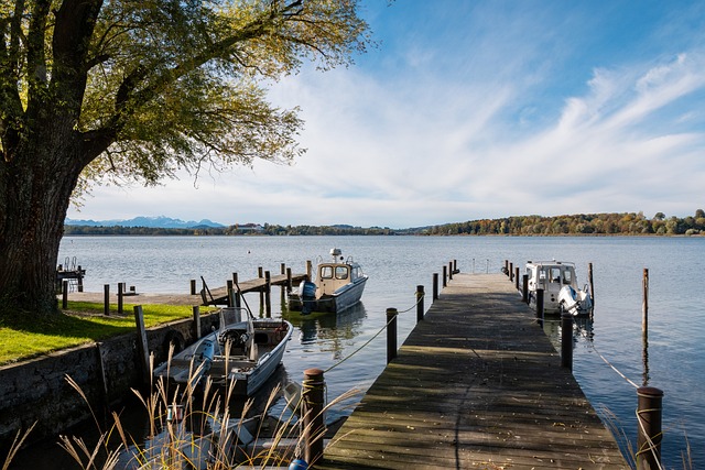 流淌着冠军 流淌着冠军