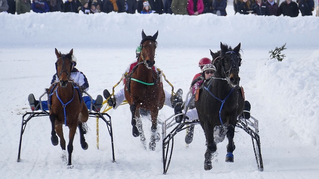 住儒尼奥尔 住儒尼奥尔