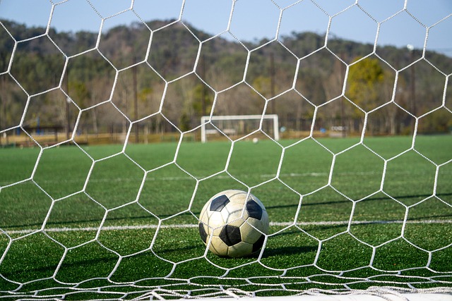 技和丰富的 技和丰富的