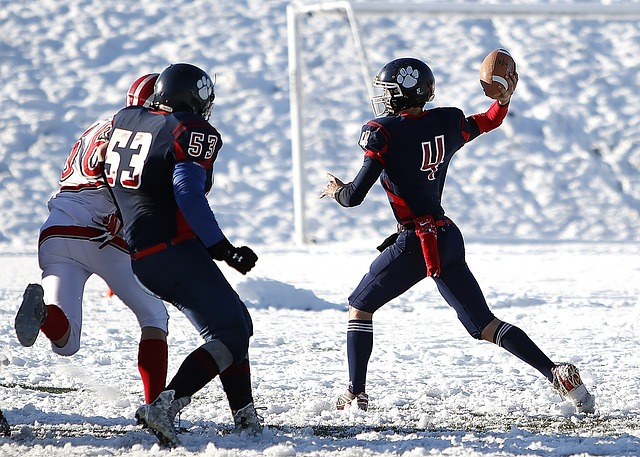 勇士的进攻 勇士的进攻