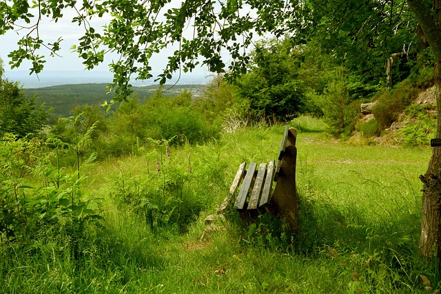 此策略在主 此策略在主