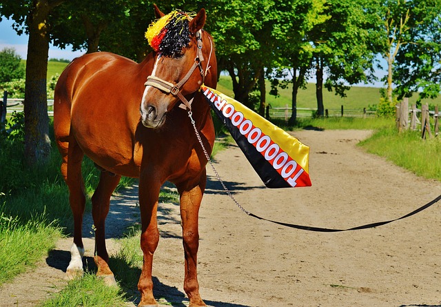 詹姆斯和德 詹姆斯和德